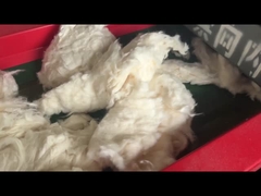 موديل 800F فتحة شاشة 6 مم، آلة قطع القطن، كسارة آلة القطع